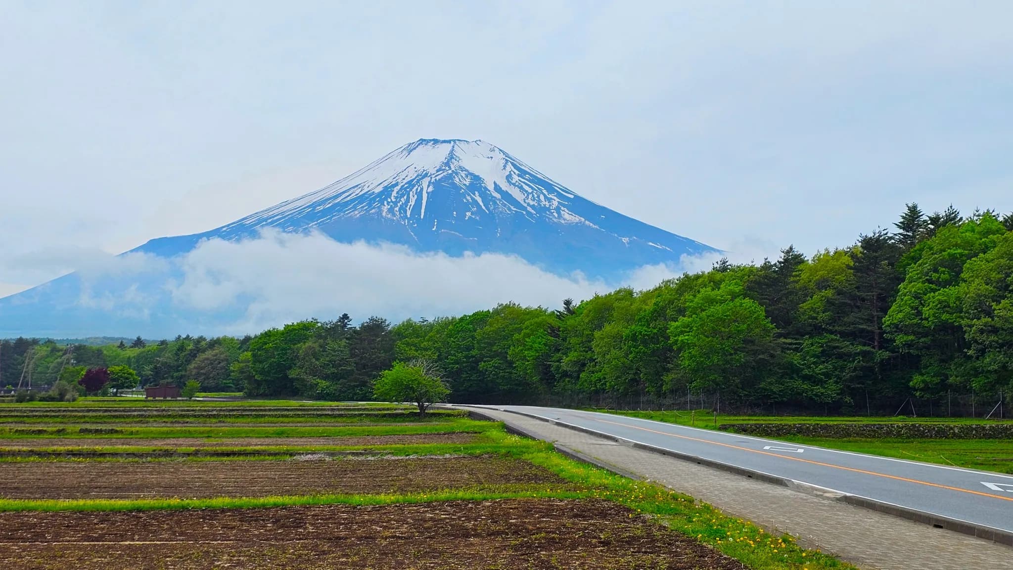 檜の森の美しい風景